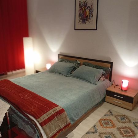 Apartament Cu Terasa La Casa Valentin Timişoara Exterior foto