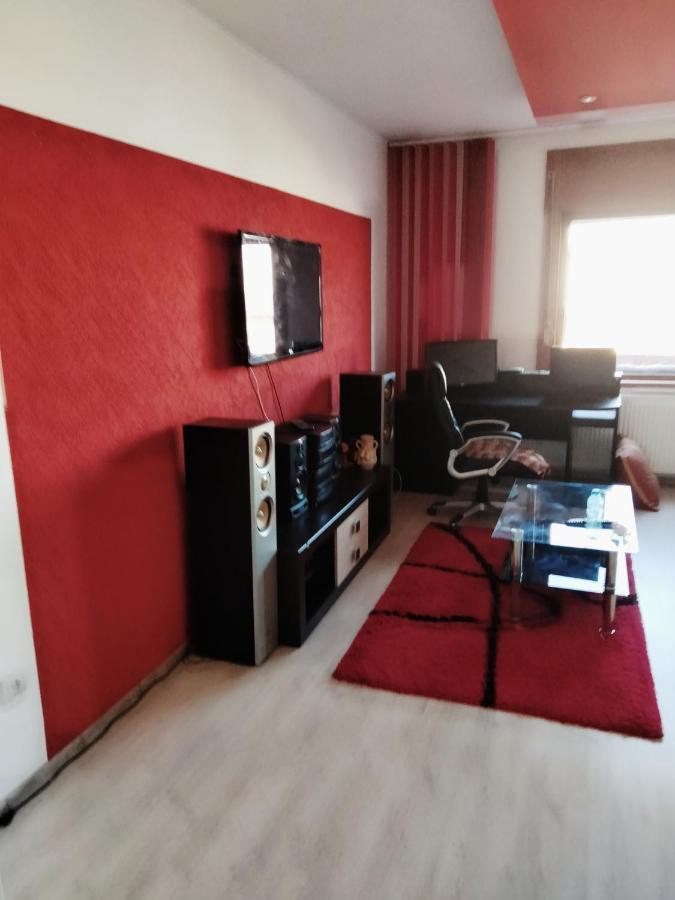 Apartament Cu Terasa La Casa Valentin Timişoara Exterior foto