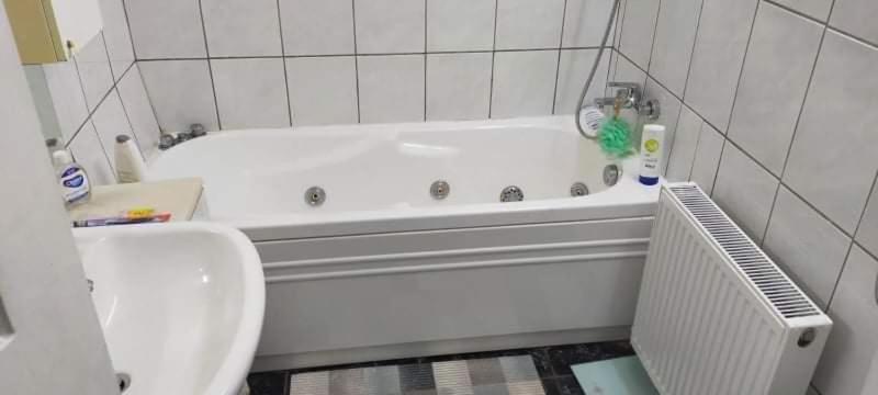 Apartament Cu Terasa La Casa Valentin Timişoara Exterior foto