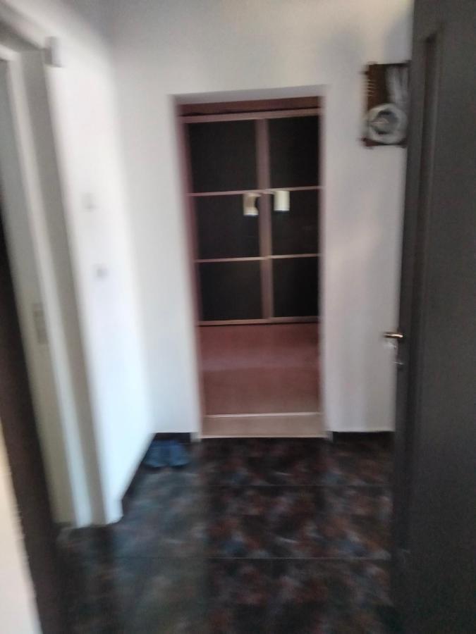 Apartament Cu Terasa La Casa Valentin Timişoara Exterior foto