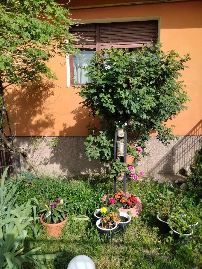 Apartament Cu Terasa La Casa Valentin Timişoara Exterior foto