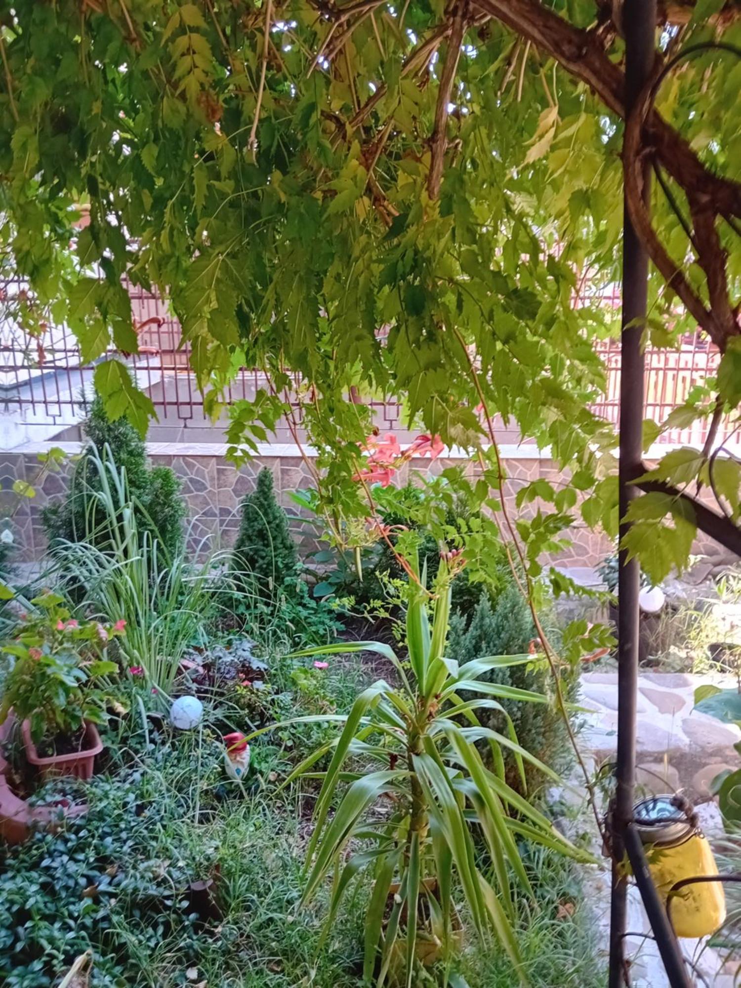 Apartament Cu Terasa La Casa Valentin Timişoara Exterior foto