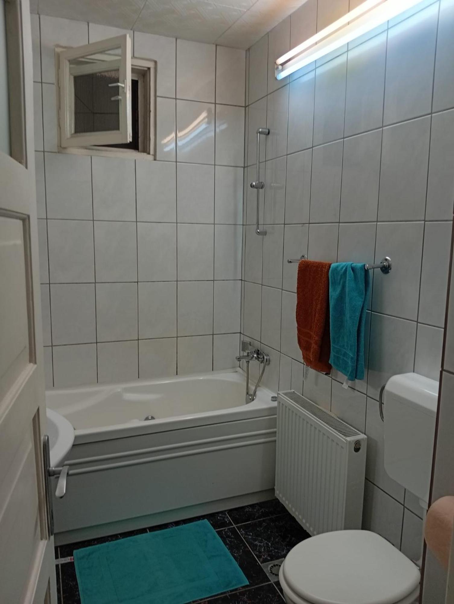 Apartament Cu Terasa La Casa Valentin Timişoara Exterior foto