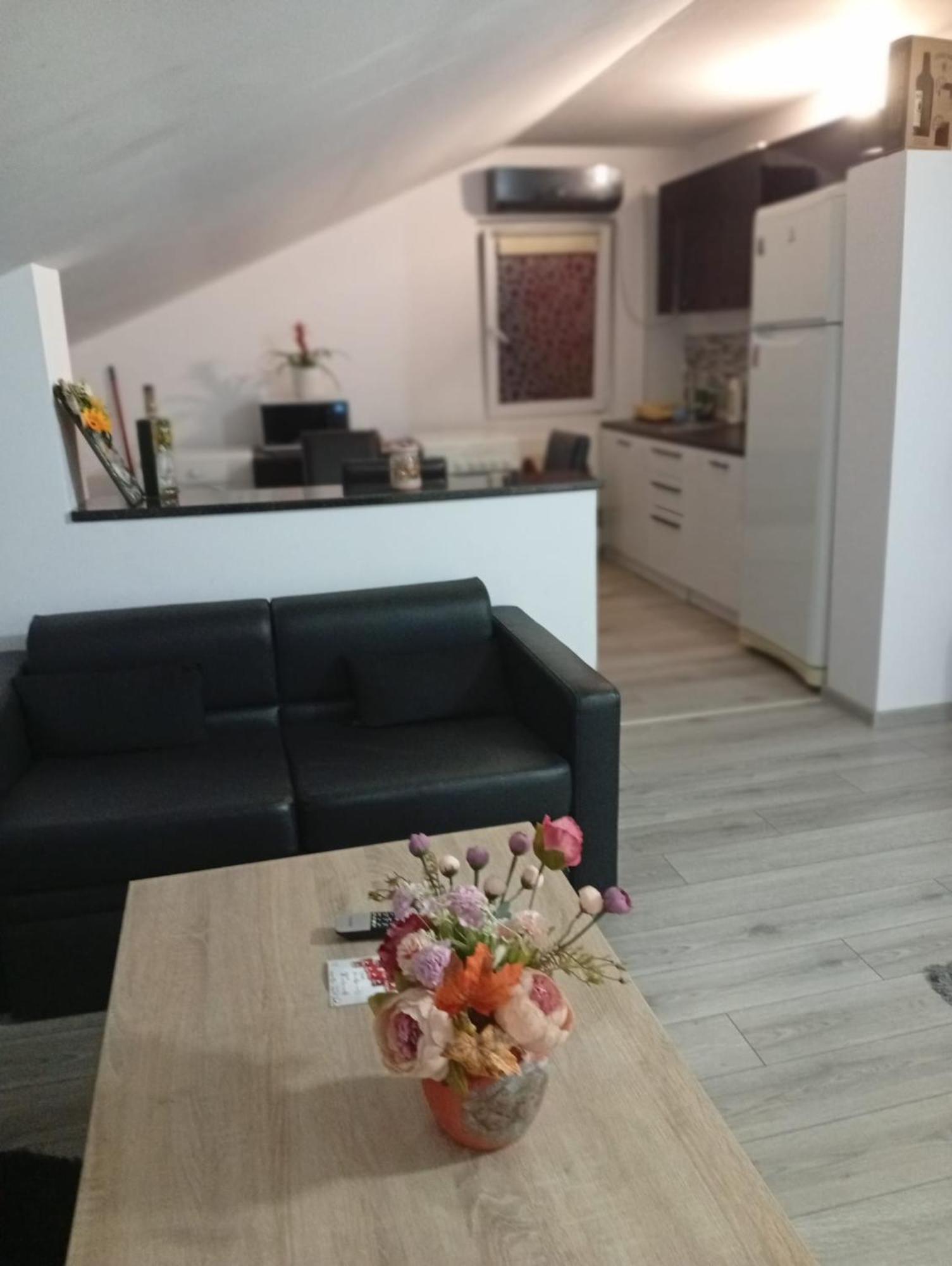 Apartament Cu Terasa La Casa Valentin Timişoara Exterior foto